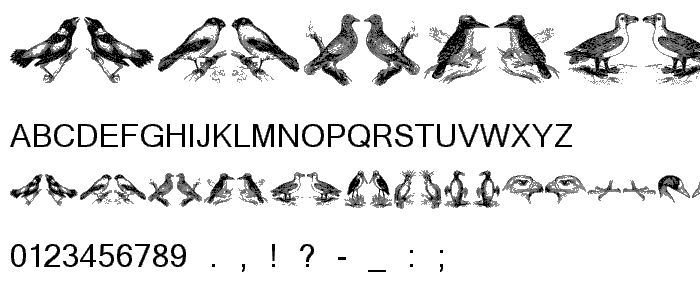birds a font